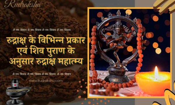 रुद्राक्ष